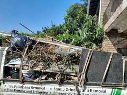 Best Appliance Removal  in Janesville, WI